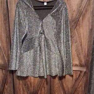 Shimmering Silver Women's Top